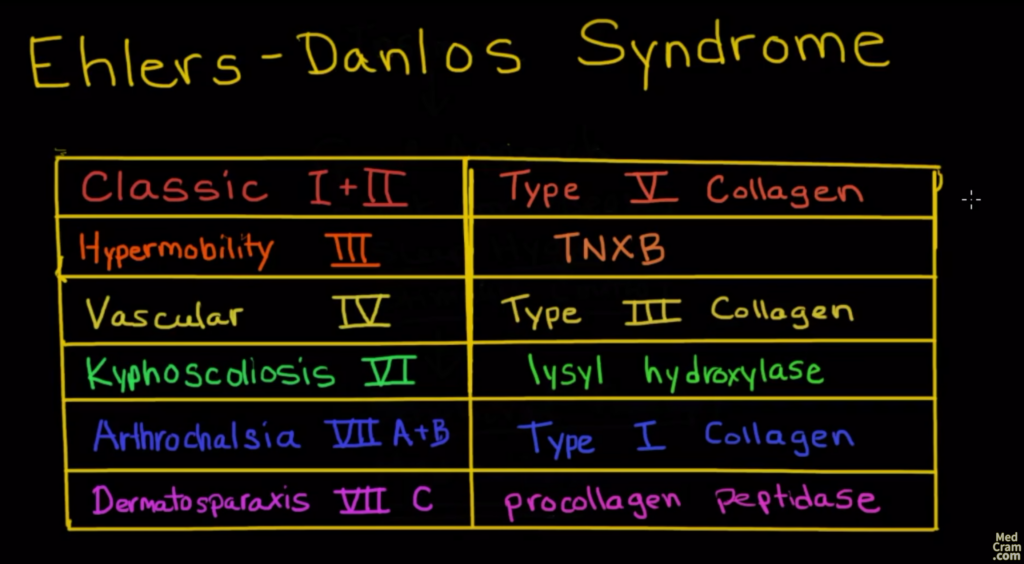 USMLE & COMLEX Practice Question: Ehlers Danlos Syndrome Video Explanation