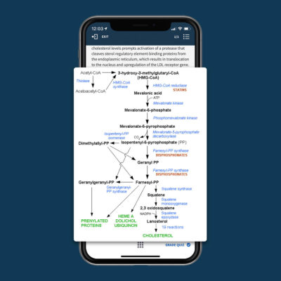 boardvitals usmle® step 1 question bank diagram